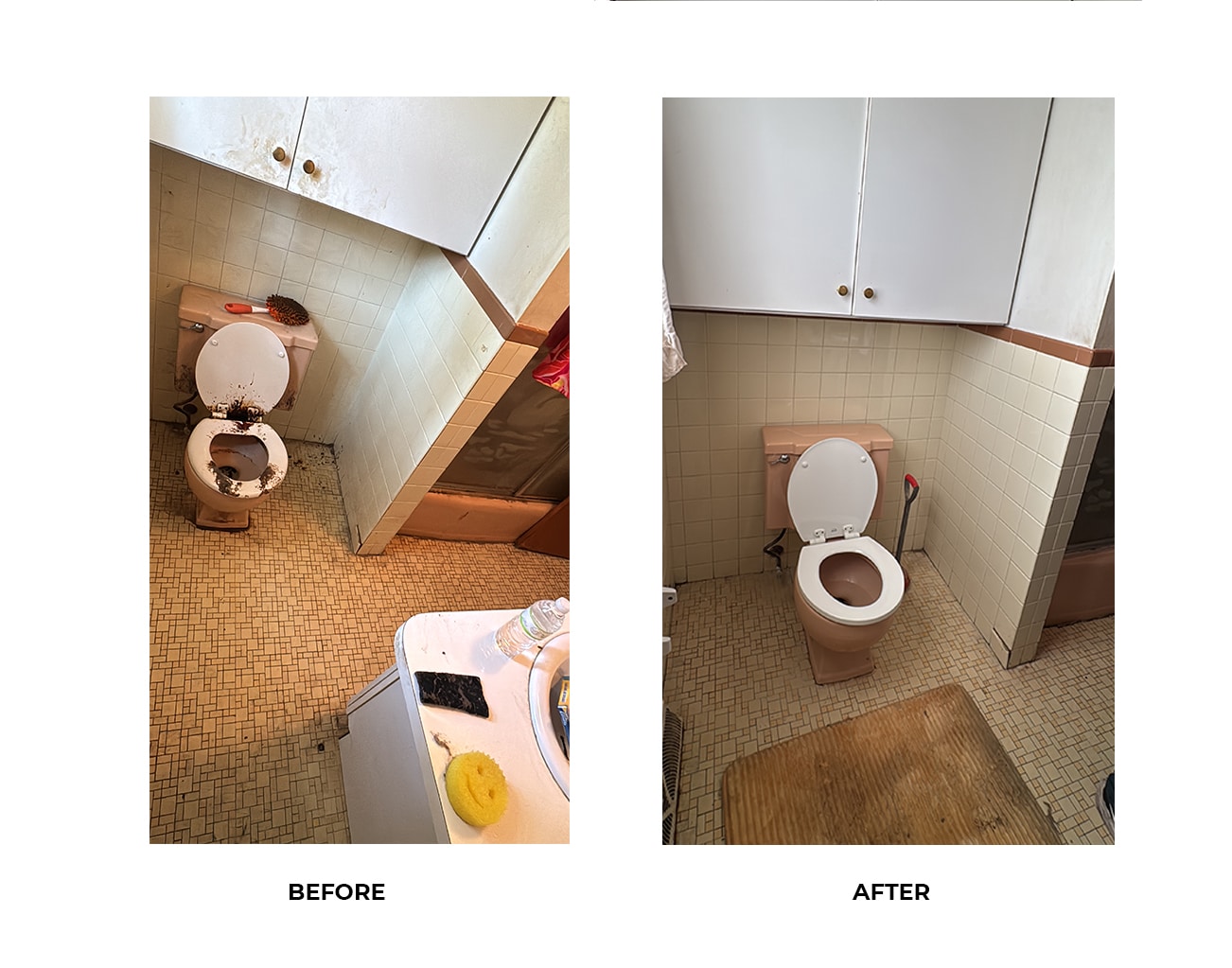 extreme_cleaning_hoarder_removal_11