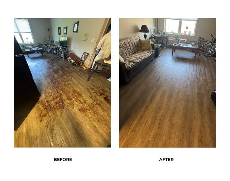 extreme_cleaning_hoarder_removal_6