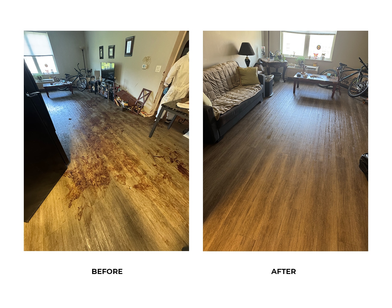 extreme_cleaning_hoarder_removal_6